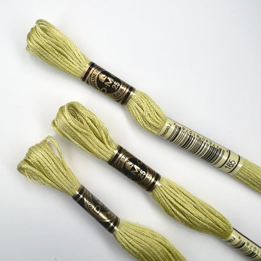 DMC Mouliné Spécial 01 - 564