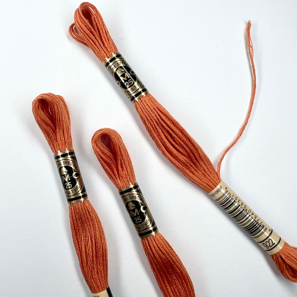 DMC Mouliné Spécial nummer 580 - 963