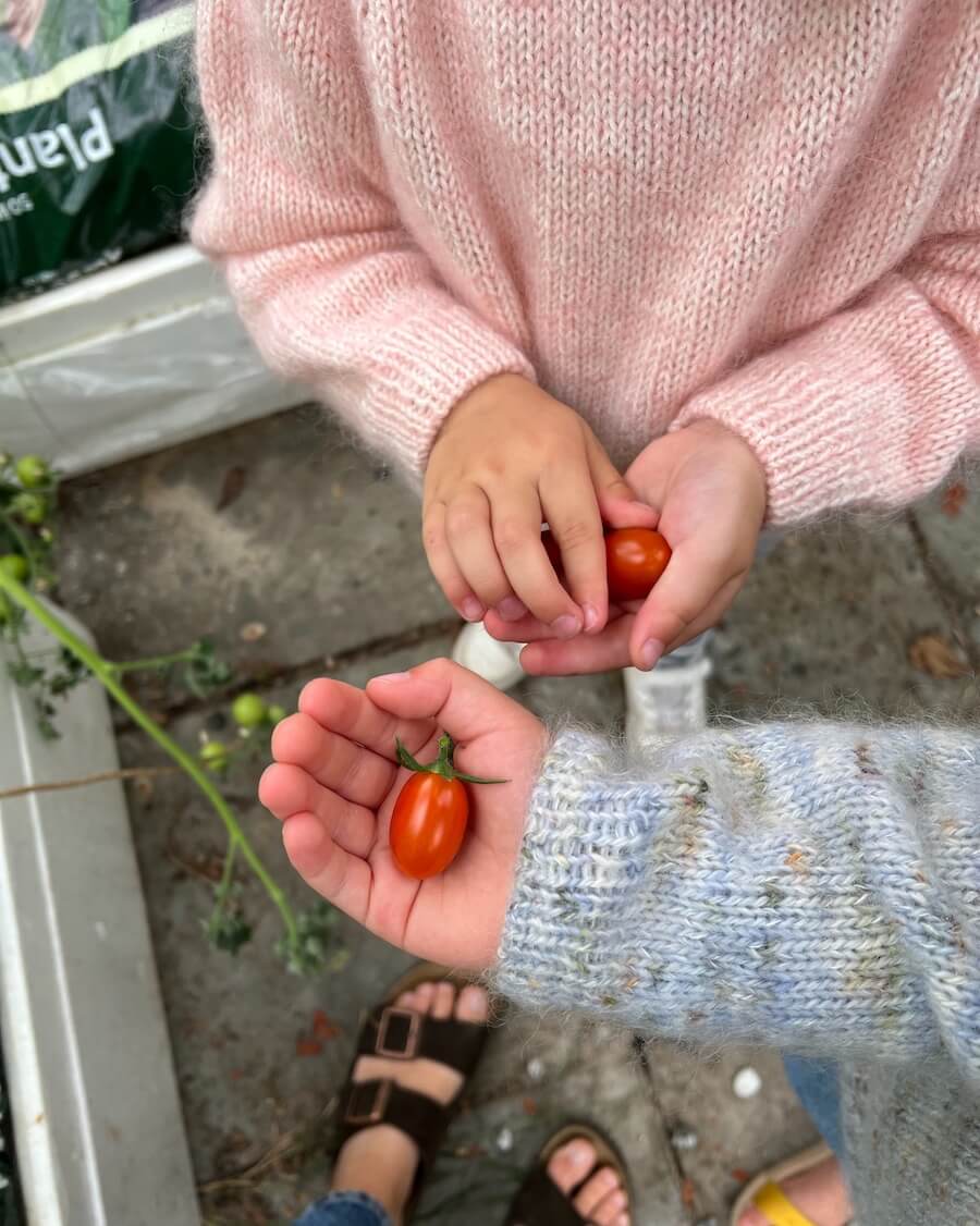 Petiteknit Monday Sweater Junior - Strikkekit