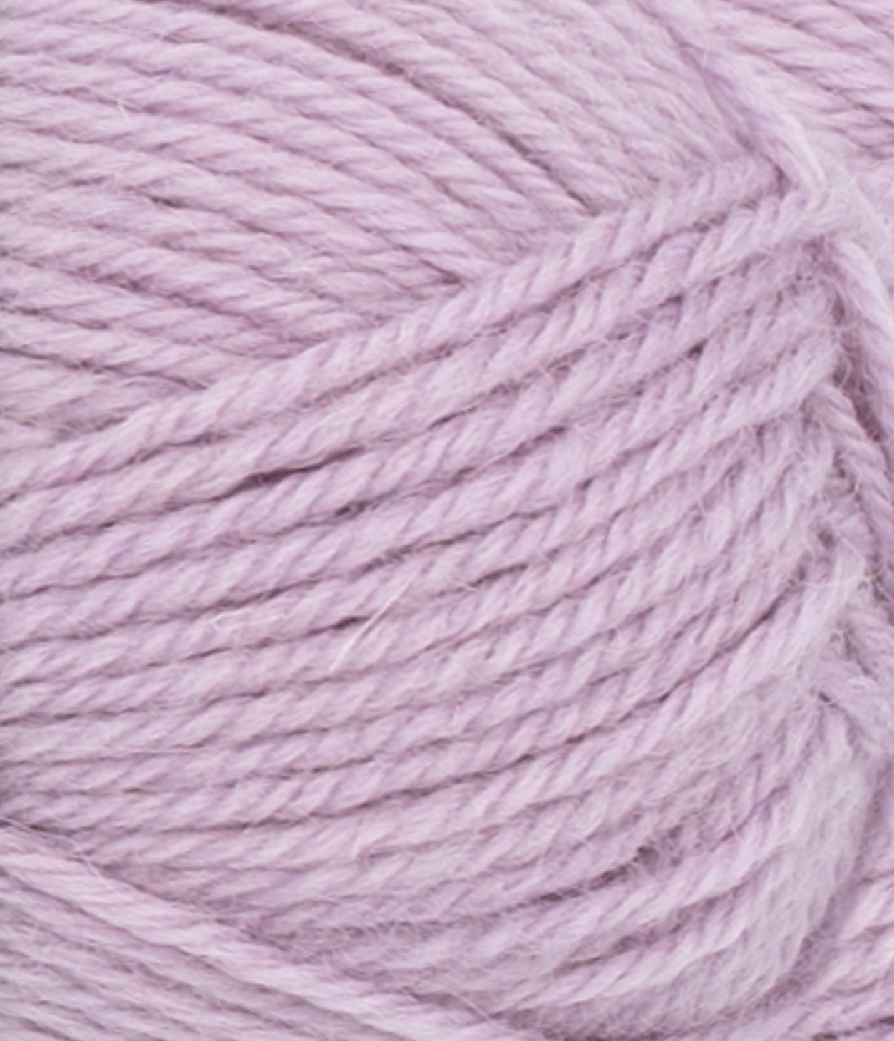 5023 Lilac