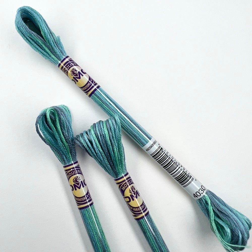 DMC Mouliné Color Variations