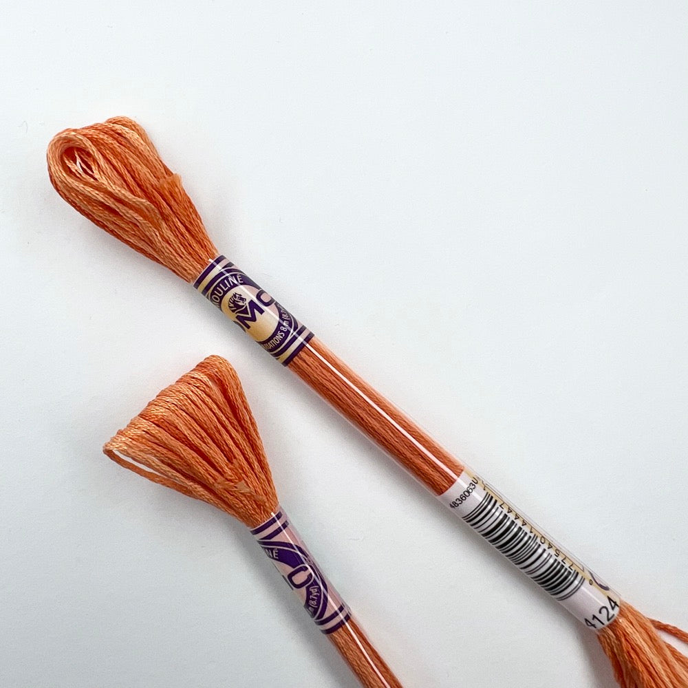 DMC Mouliné Color Variations