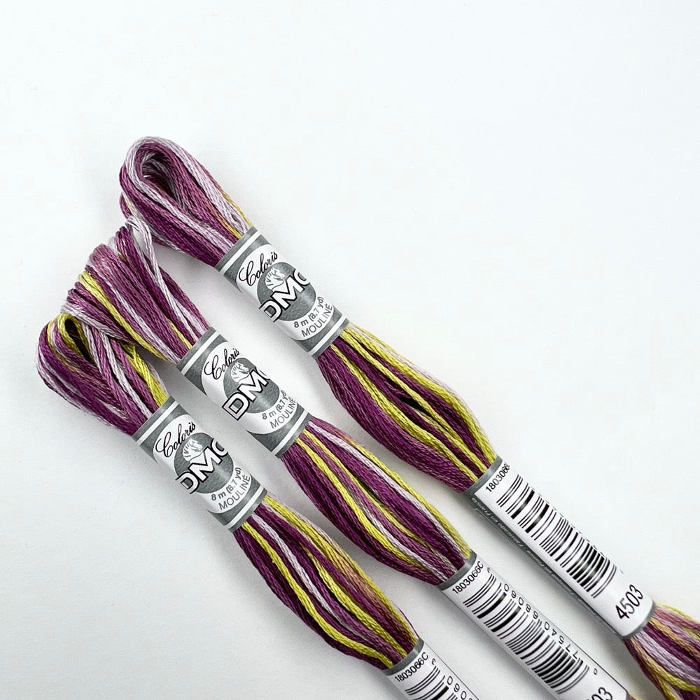 DMC Mouliné Coloris