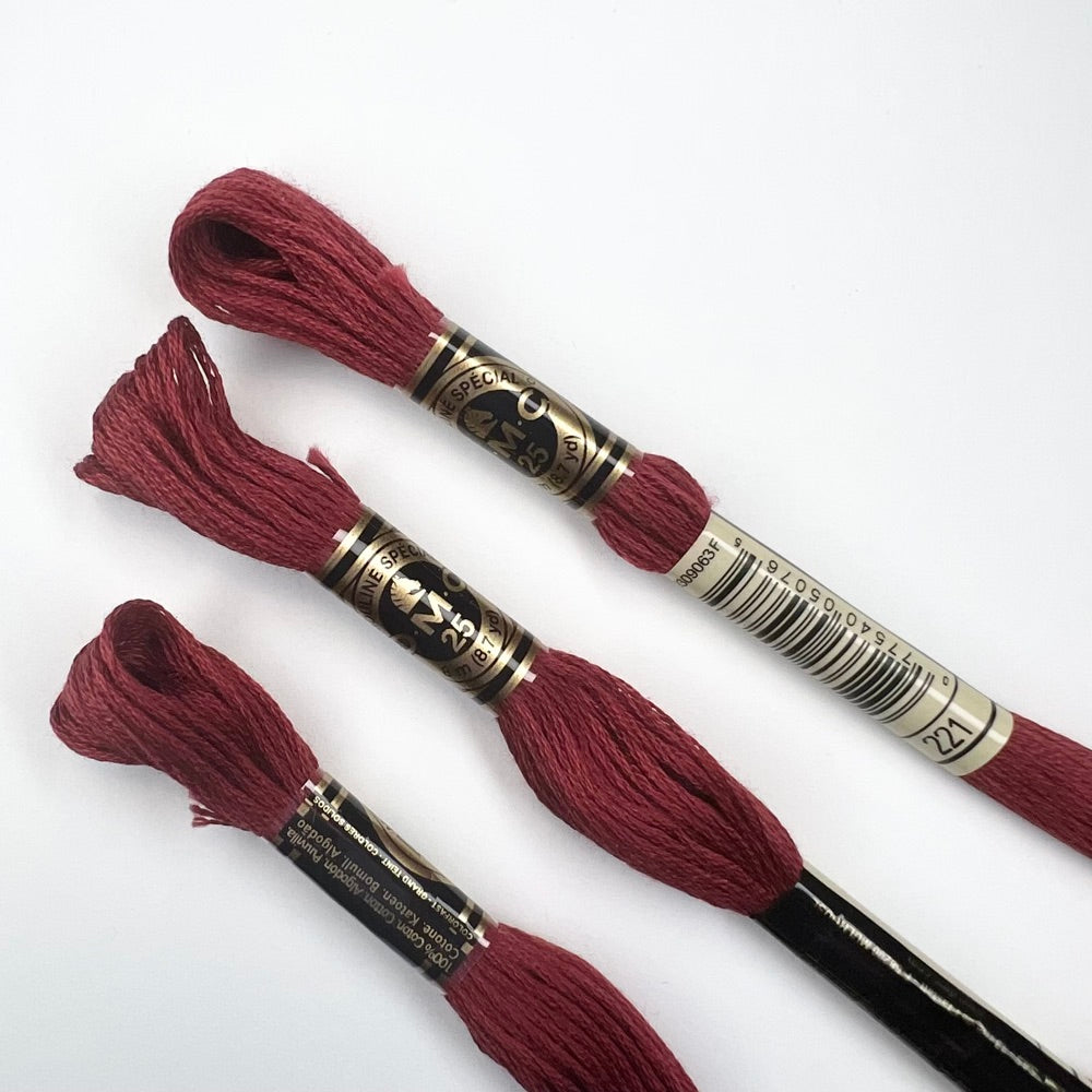 DMC Mouliné Spécial 01 - 564