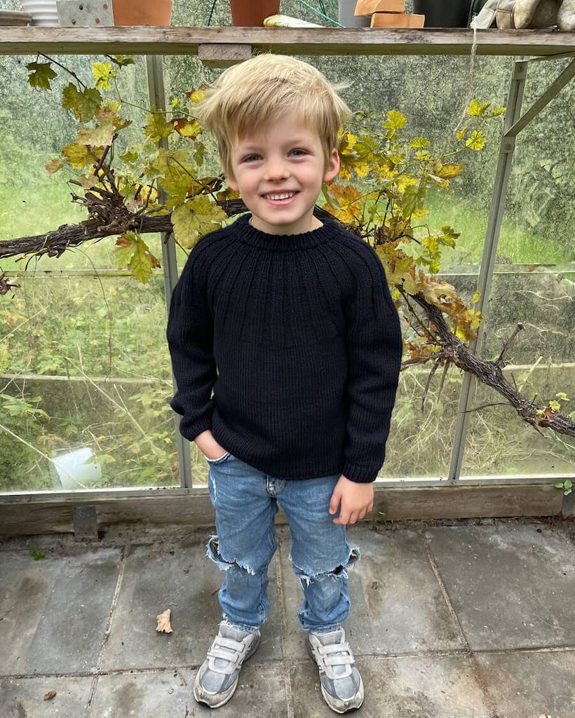 Haralds Sweater Petiteknit - Udprintet opskrift