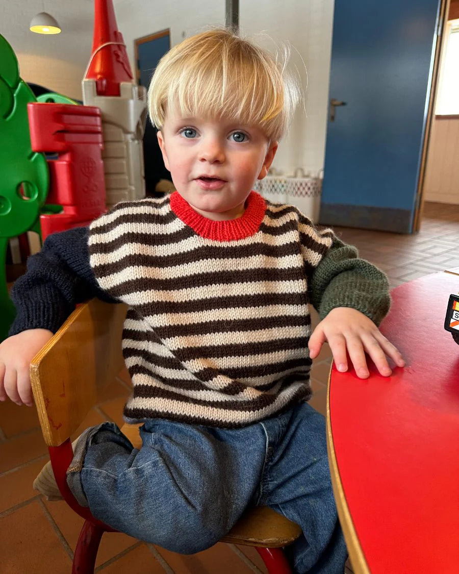 Holger Sweater Petiteknit - Udprintet opskrift