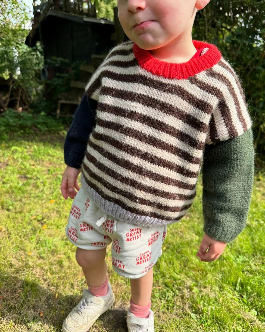 Holger Sweater Petiteknit - Udprintet opskrift