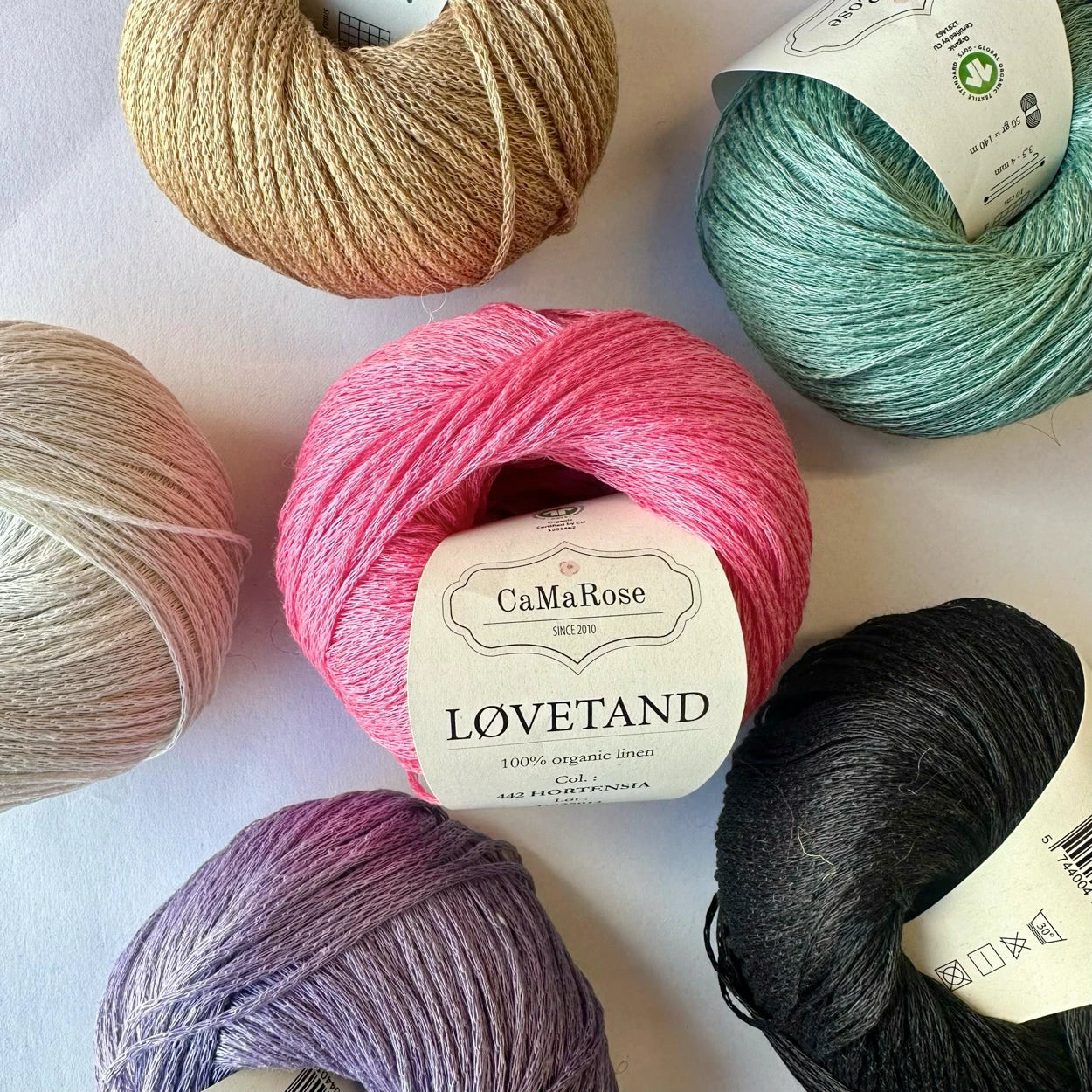 Løvetand // Camarose