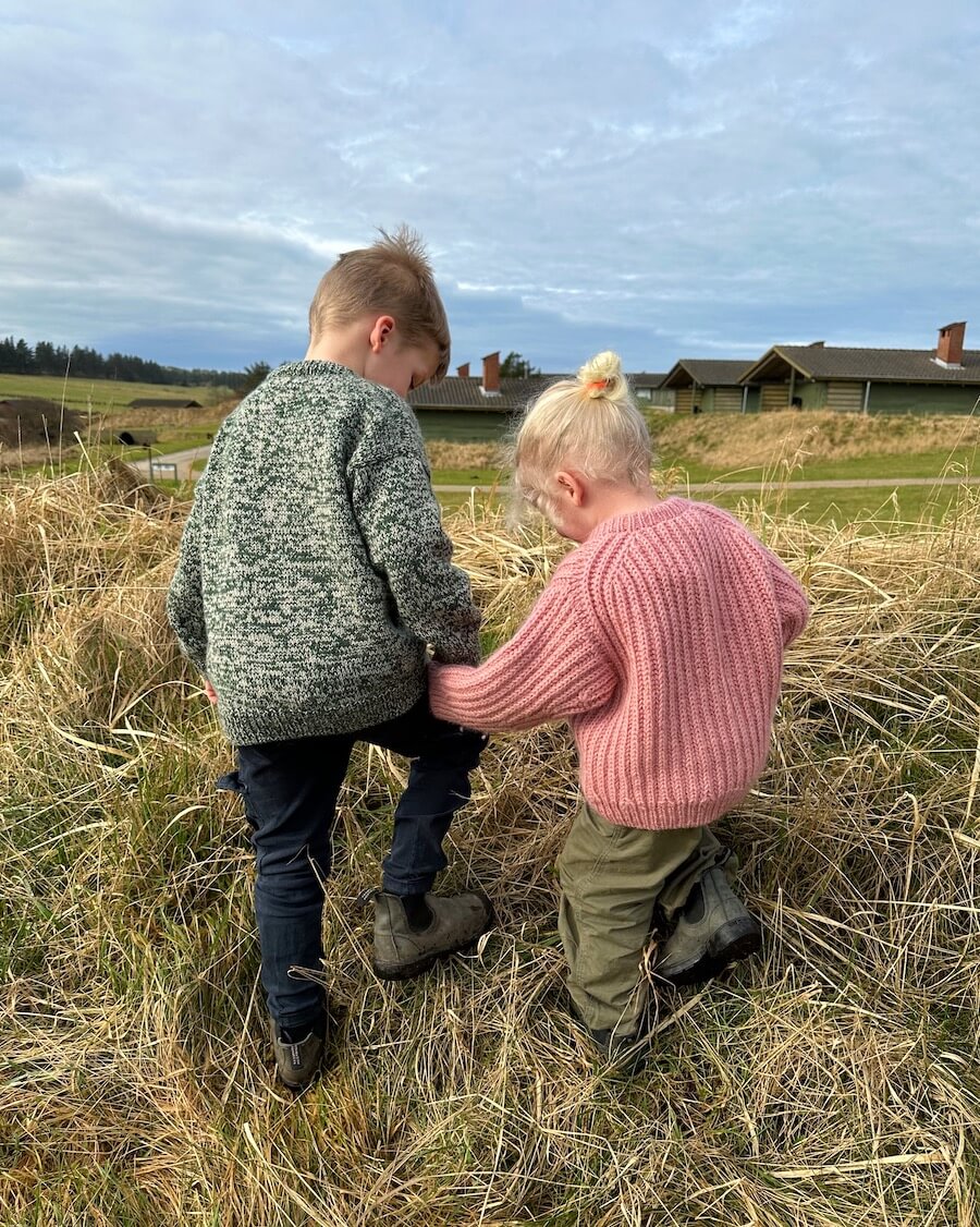 September Sweater Junior Petiteknit - Udprintet opskrift
